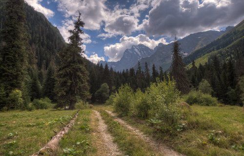 То тебе леса приснятся,  То моя дорога в горы.    Я тебя не стану мучить,  Не хочу ничем обидеть,  Может, это даже лучше -  Столько дней тебя не видеть.