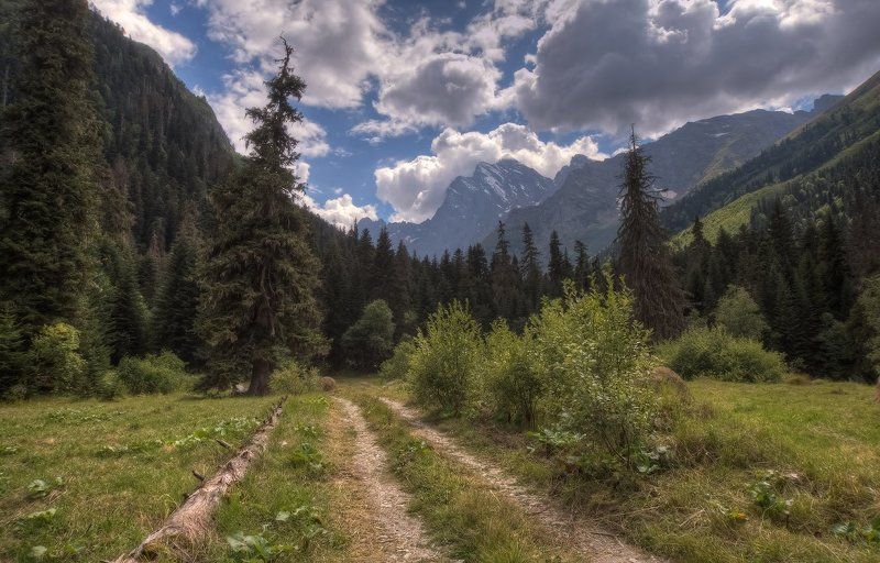 То тебе леса приснятся,  То моя дорога в горы.    Я тебя не стану мучить,  Не хочу ничем обидеть,  Может, это даже лучше -  Столько дней тебя не видеть. фото превью