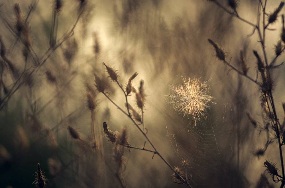 , Татьяна Аверина