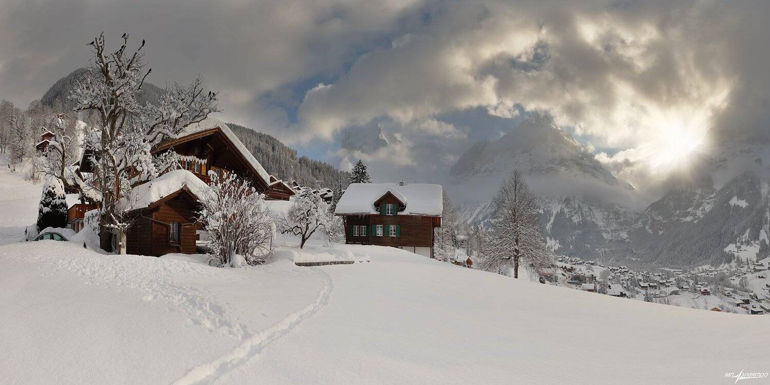 swiss, Матвеев Николай