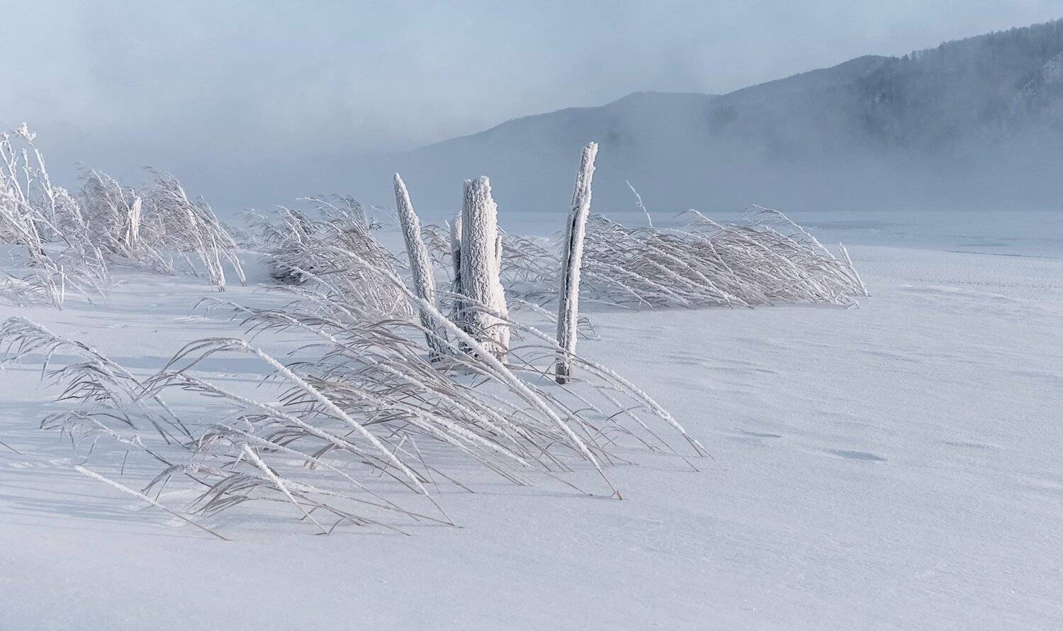 енисей, мороз, , берег., Марина Фомина