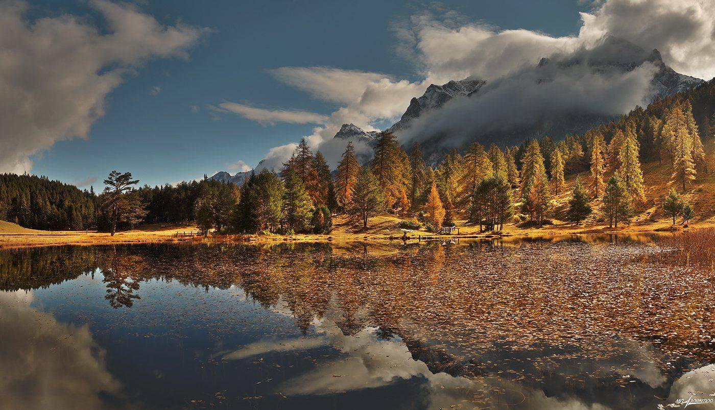swiss, Матвеев Николай