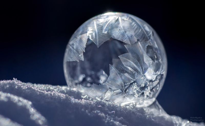 макро, природа, мыльные пузыри, лед, зима, снег, macro, nature, soap bubbles, ice, winter, snow, frozzenbubbles *** фото превью