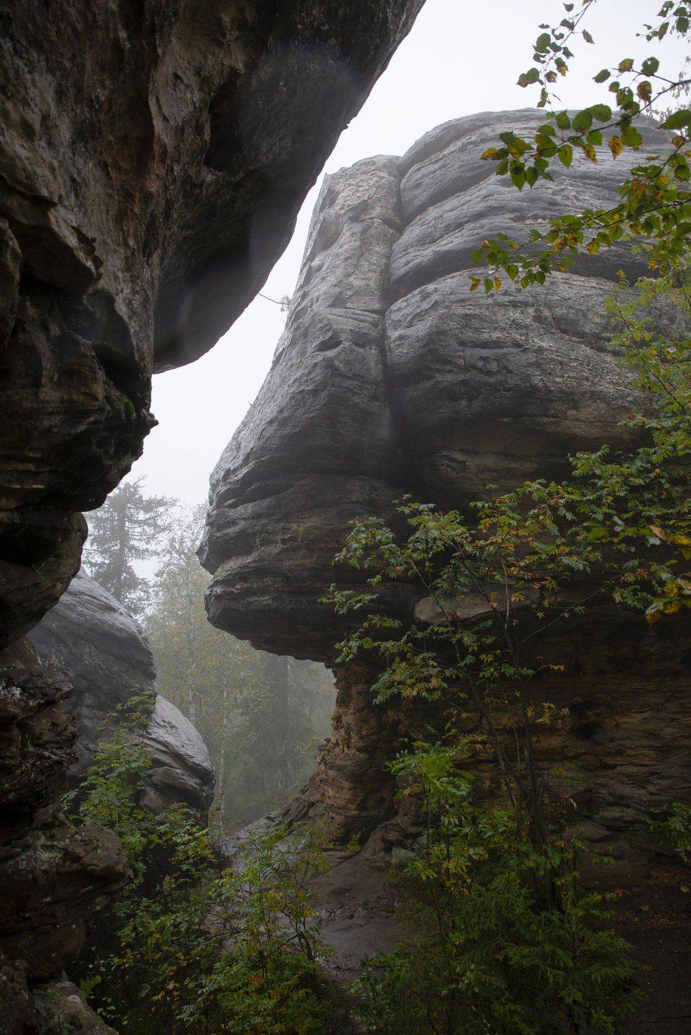 , Ольга Лукахина