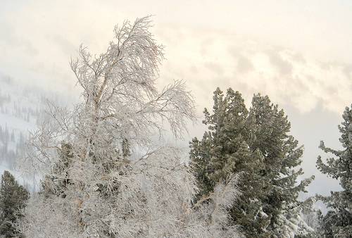 Diamonds are a girl's best friend ;)