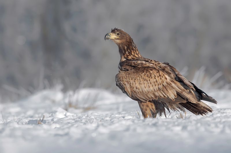 Młodzież фото превью