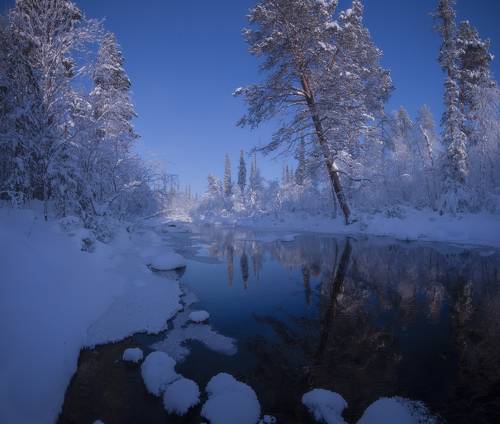  Frosty Day