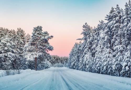 Вологодские дороги
