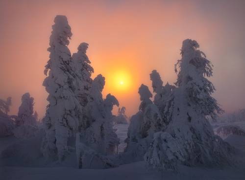 Встретить рассвет...
