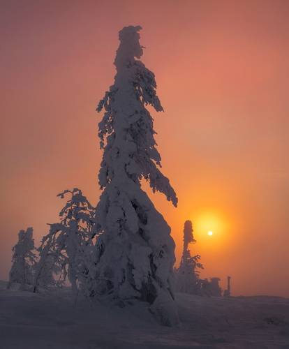 Встретить рассвет...
