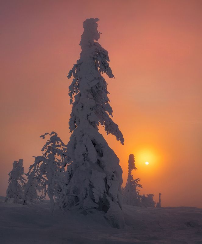 урал, зима, рассвет, мороз, утро, свет Встретить рассвет... фото превью