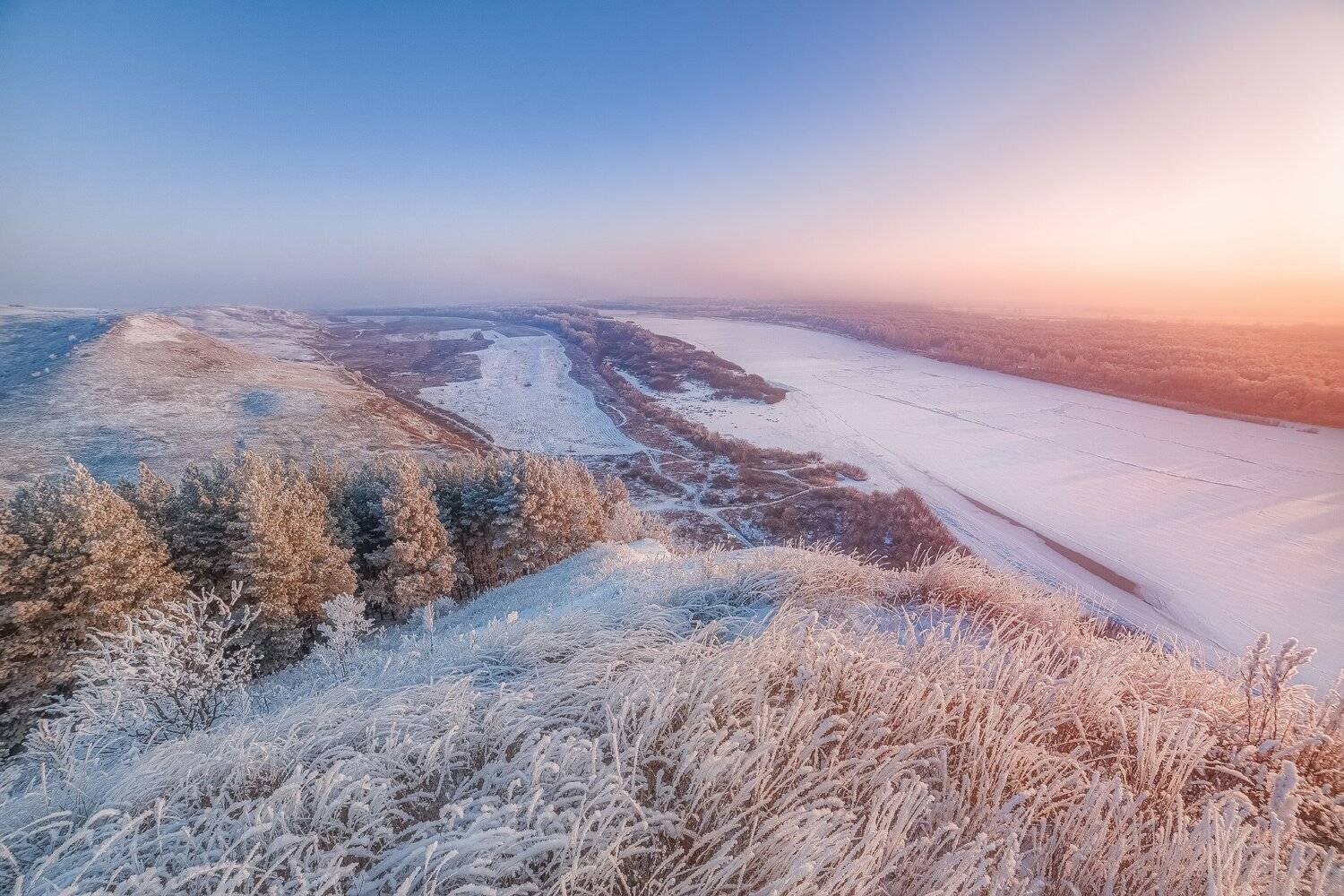 , Алексей Никитин