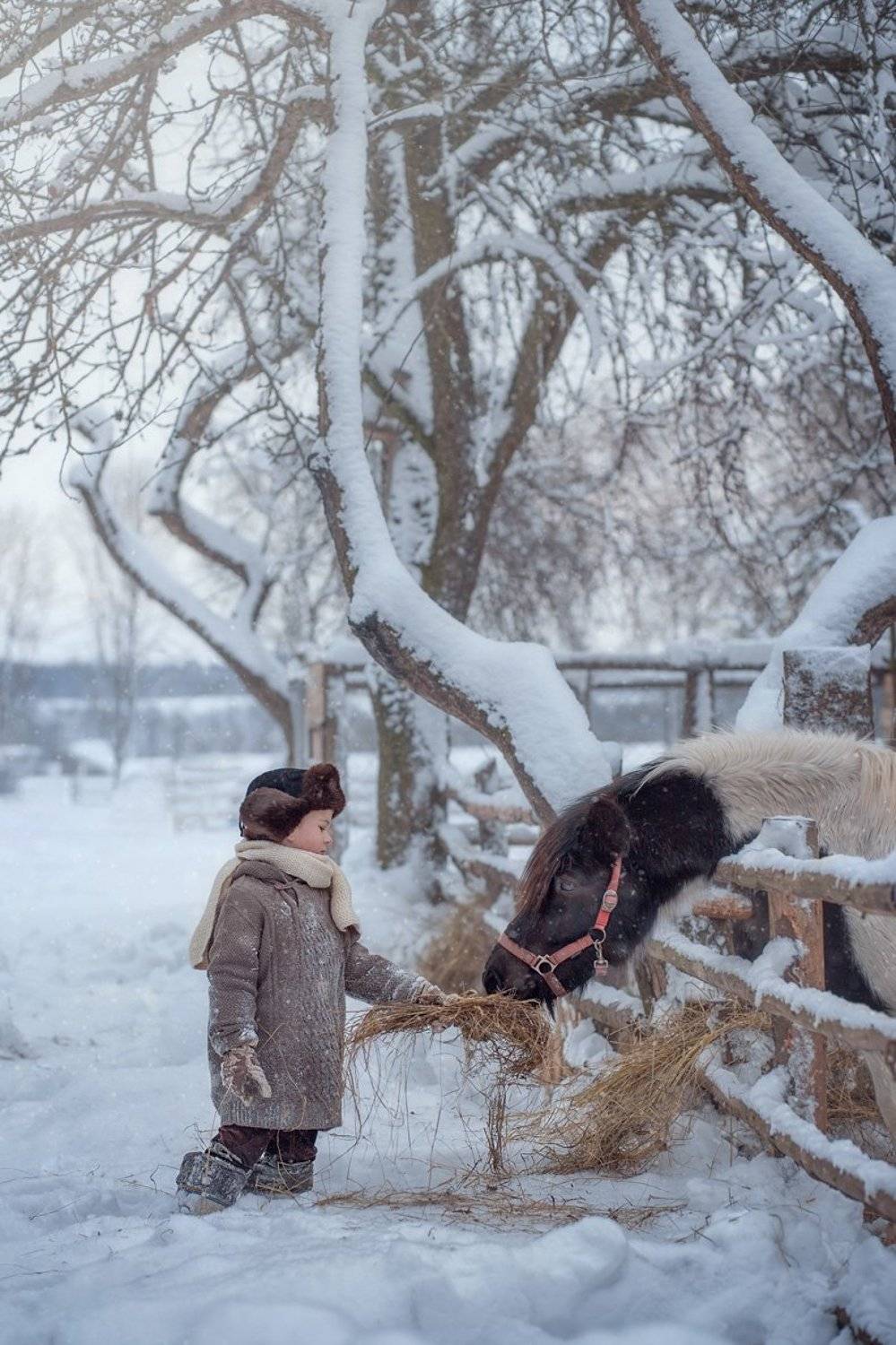 , Анна Балабан