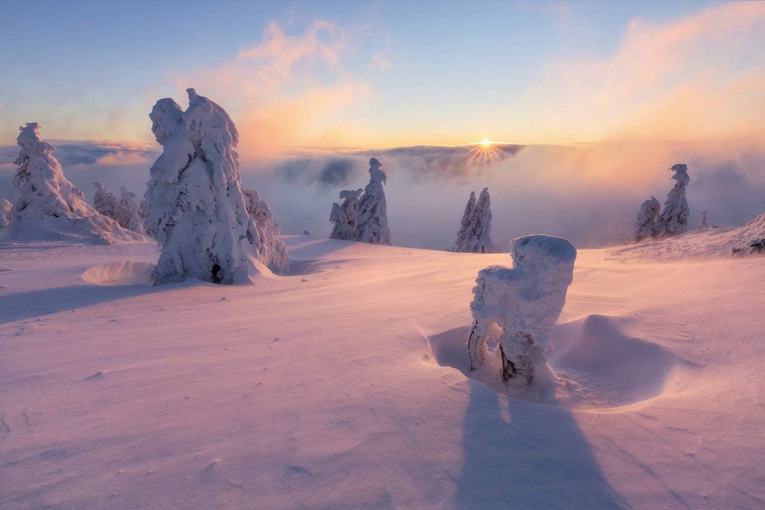 landscape, tree, panorama, fog, Petr Fiala