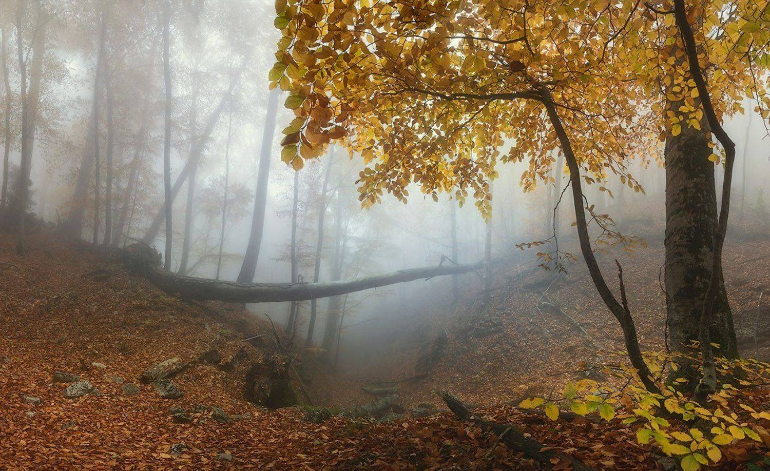 , Александр Костенко