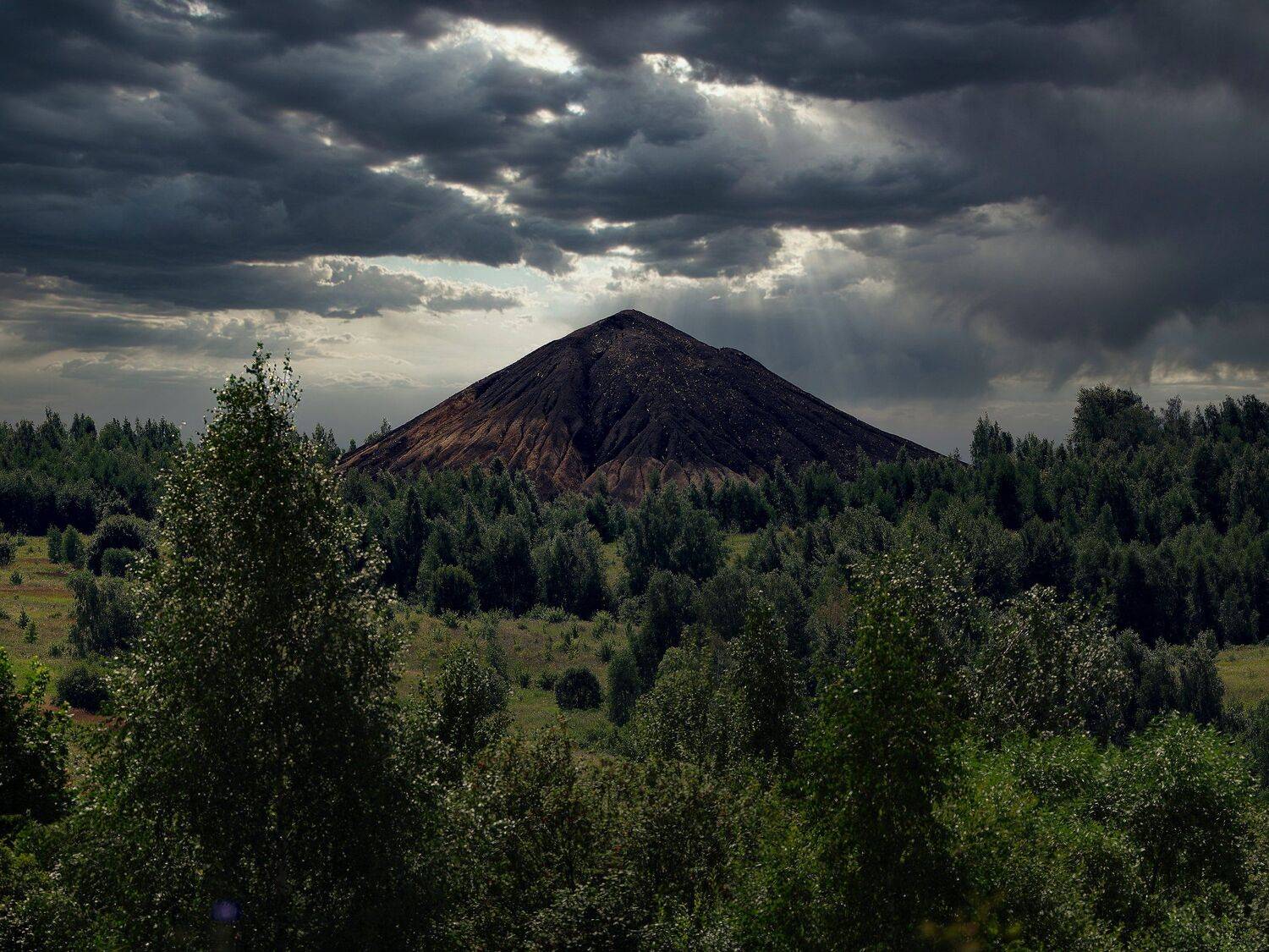 , Дмитрий Емельянов