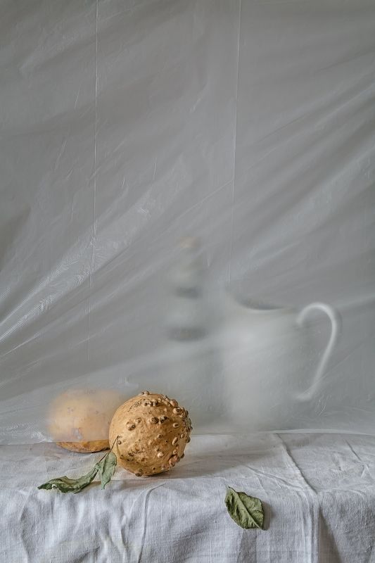 натюрморт, фарфор, кувшин, тыква Тыковки и кувшин фото превью