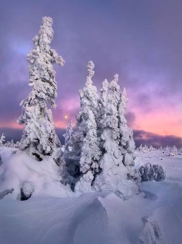 В рассвет на Рождество...