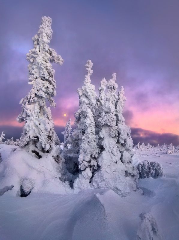 урал, зима, гух, рассвет В рассвет на Рождество... фото превью