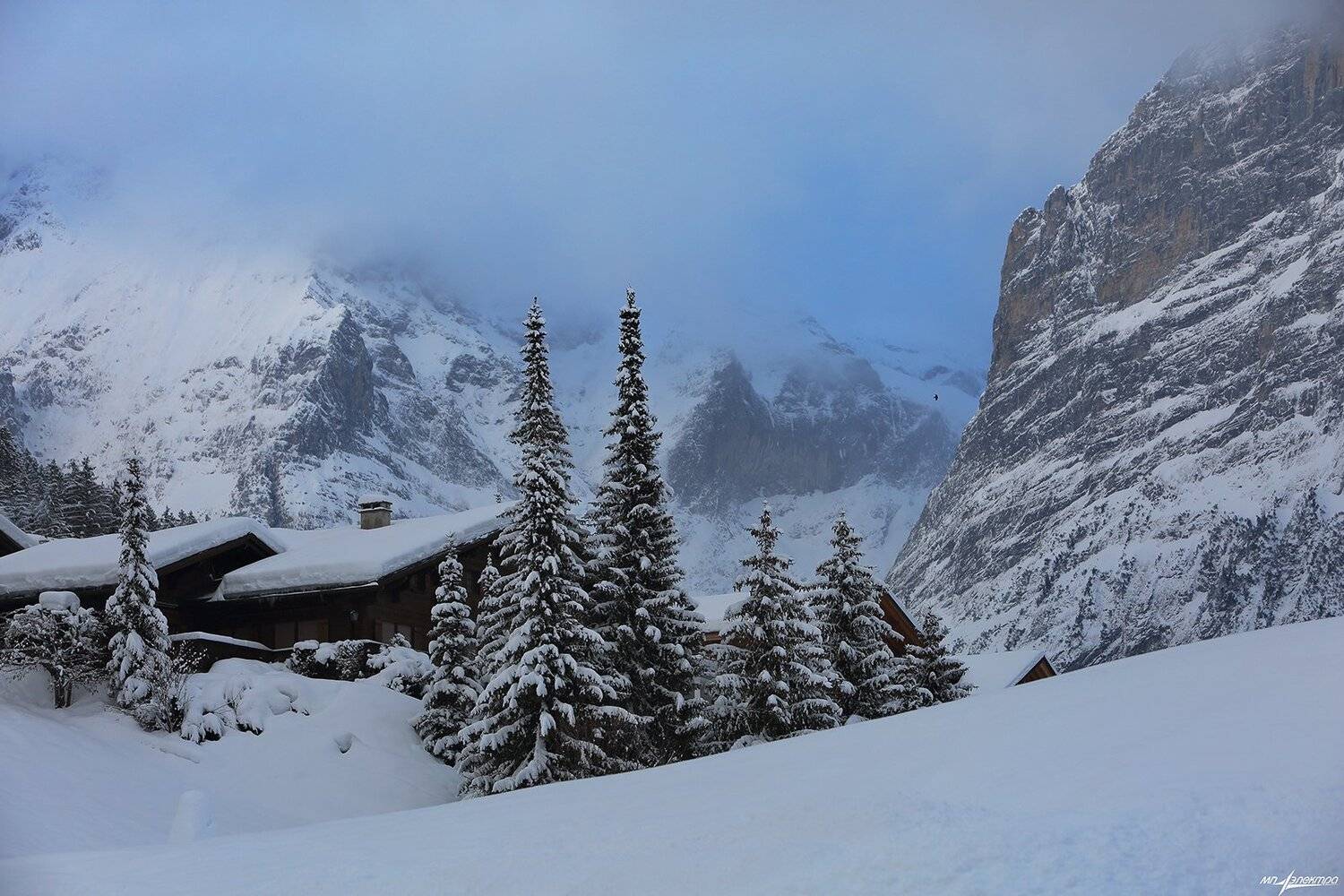 swiss, Матвеев Николай