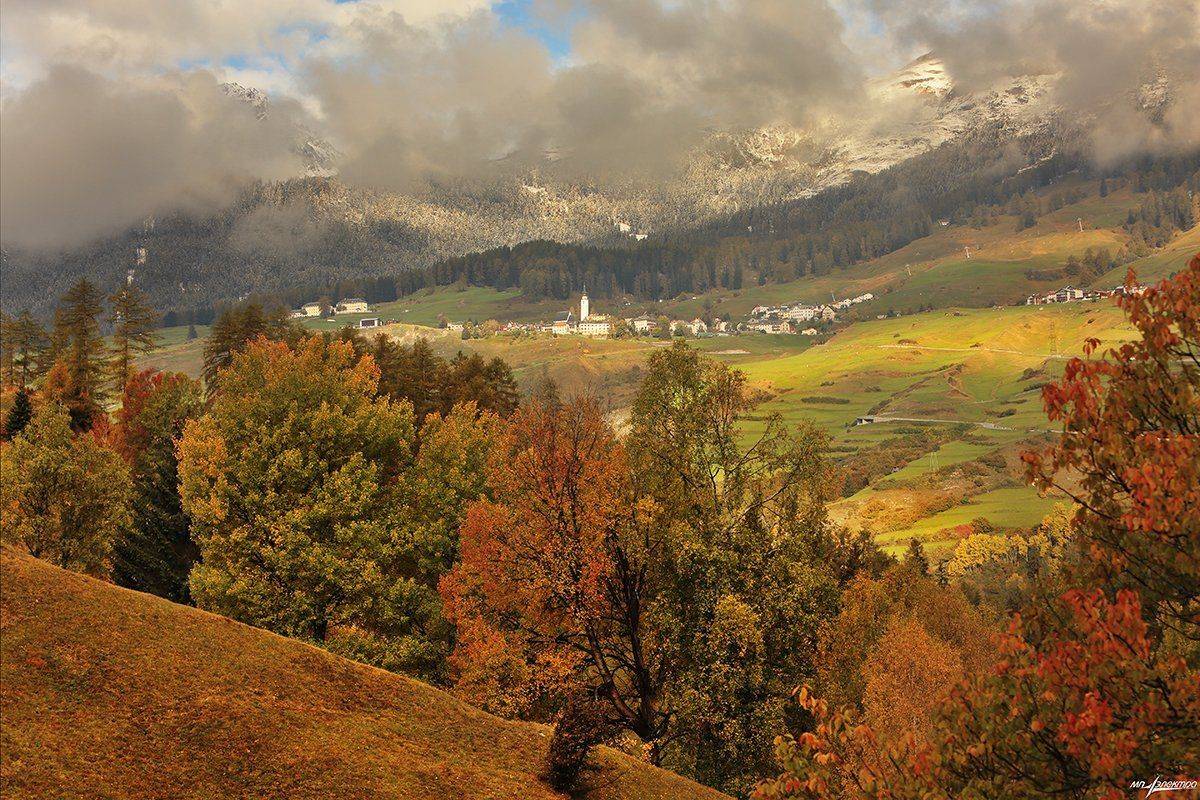swiss, Матвеев Николай