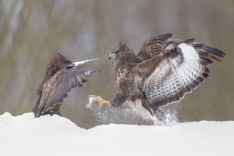 Lekkie spięcie фото превью