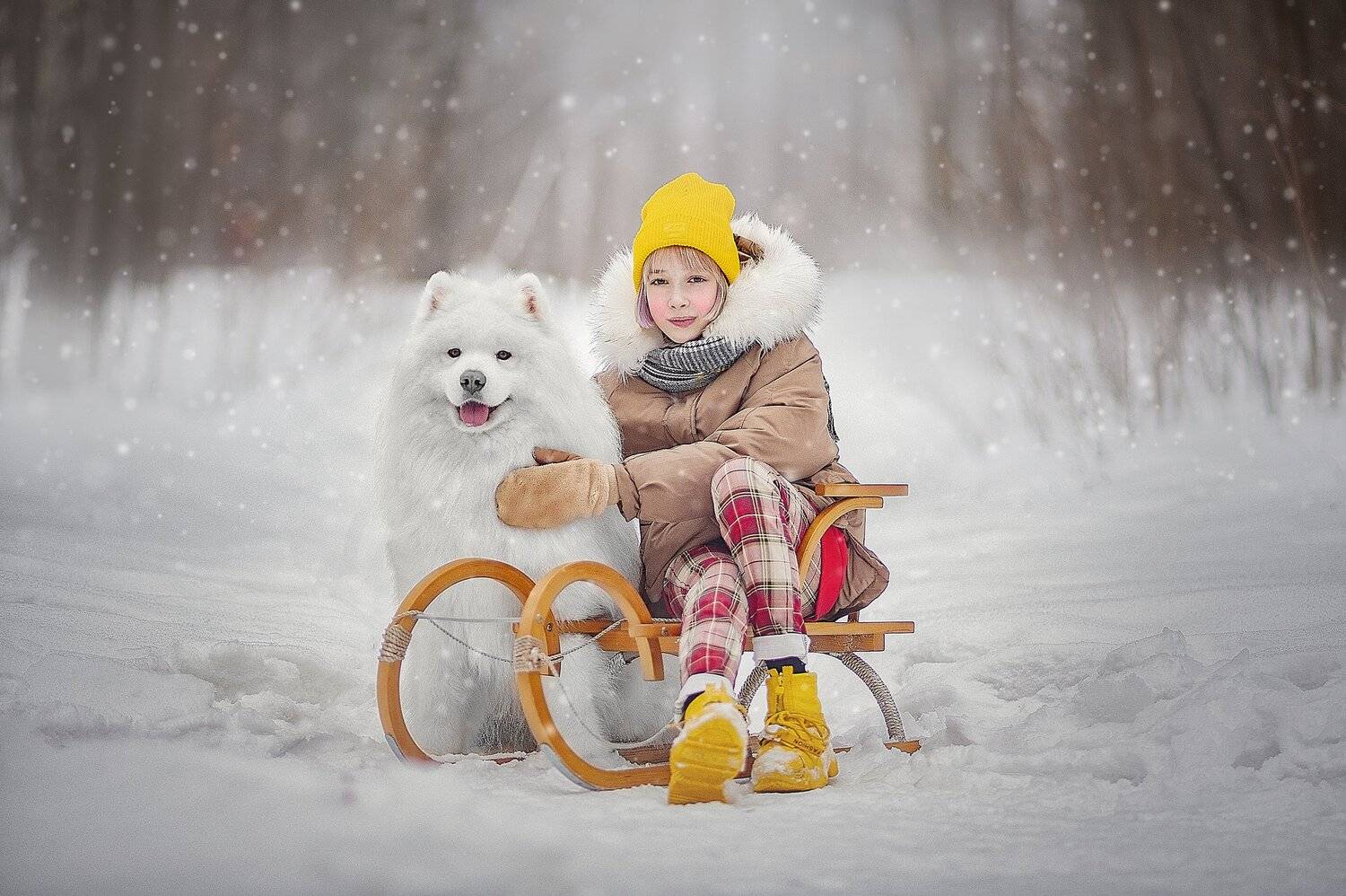 , Ксения Лысенкова