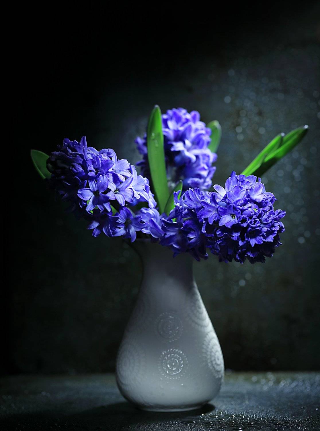 , Наталья Бочкарева