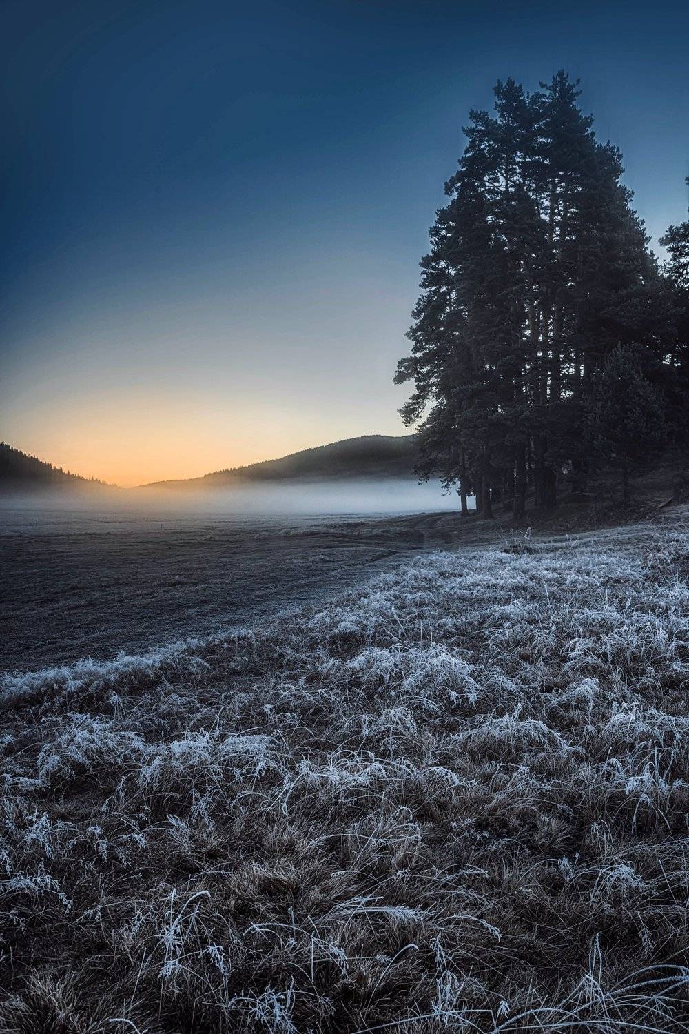 #landscape#nature#winter, Dimo Hristev