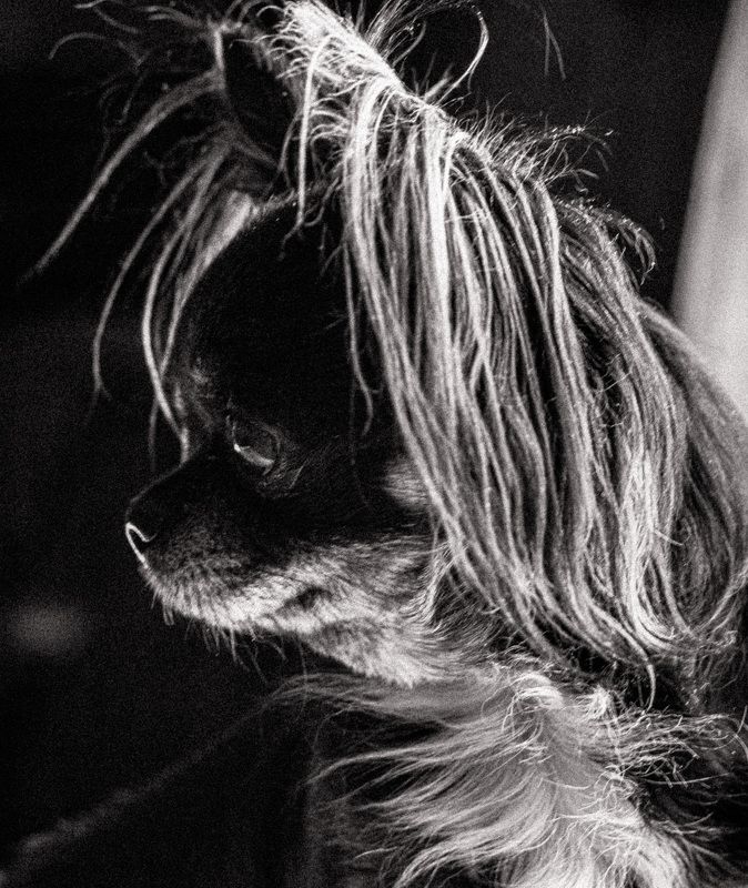 Модель фото превью