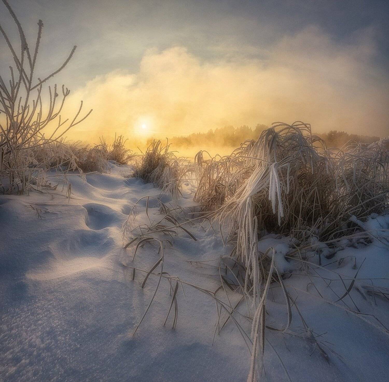 , Устюжанин Михаил