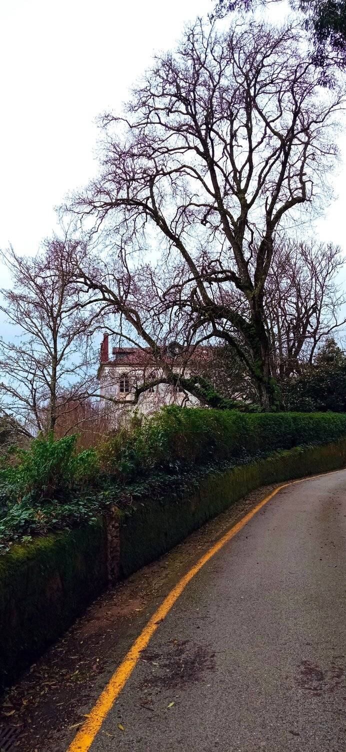 Landscapes, Carlos Machado