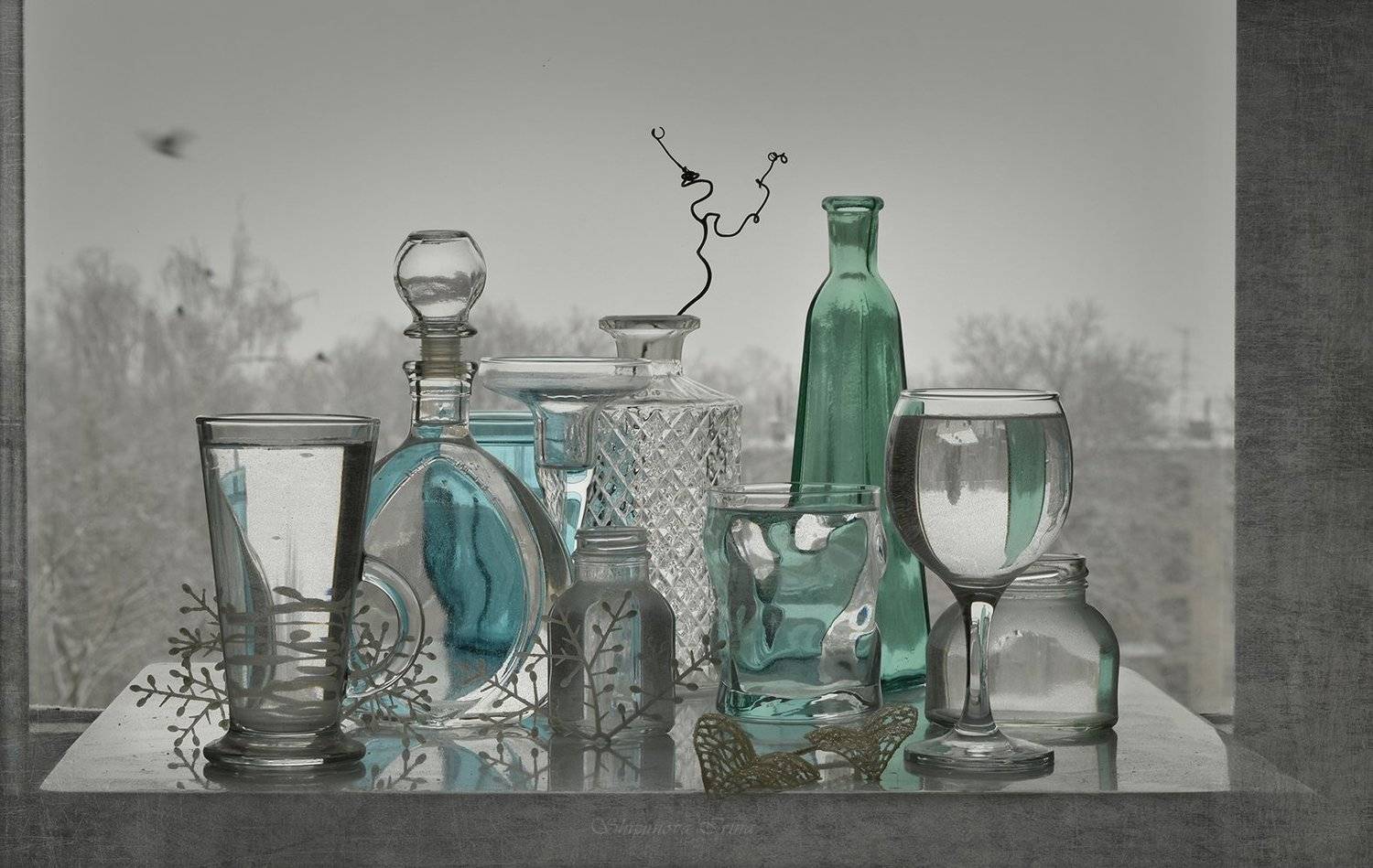 , Шипунова Ирина