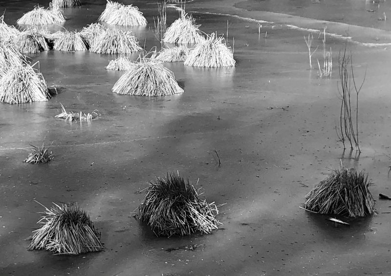 “Lake...Winter...” фото превью