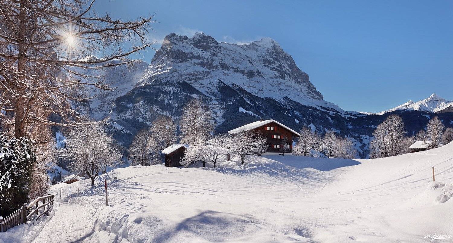 swiss, Матвеев Николай