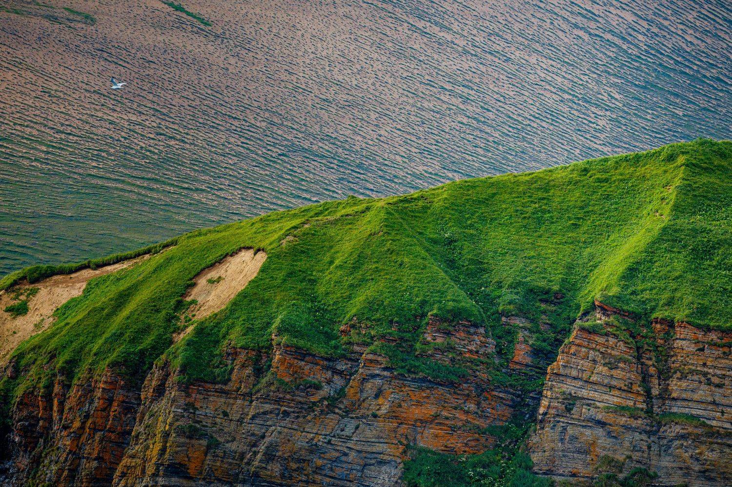 Командоры, Евгения Кирпиченкова (Клипп)