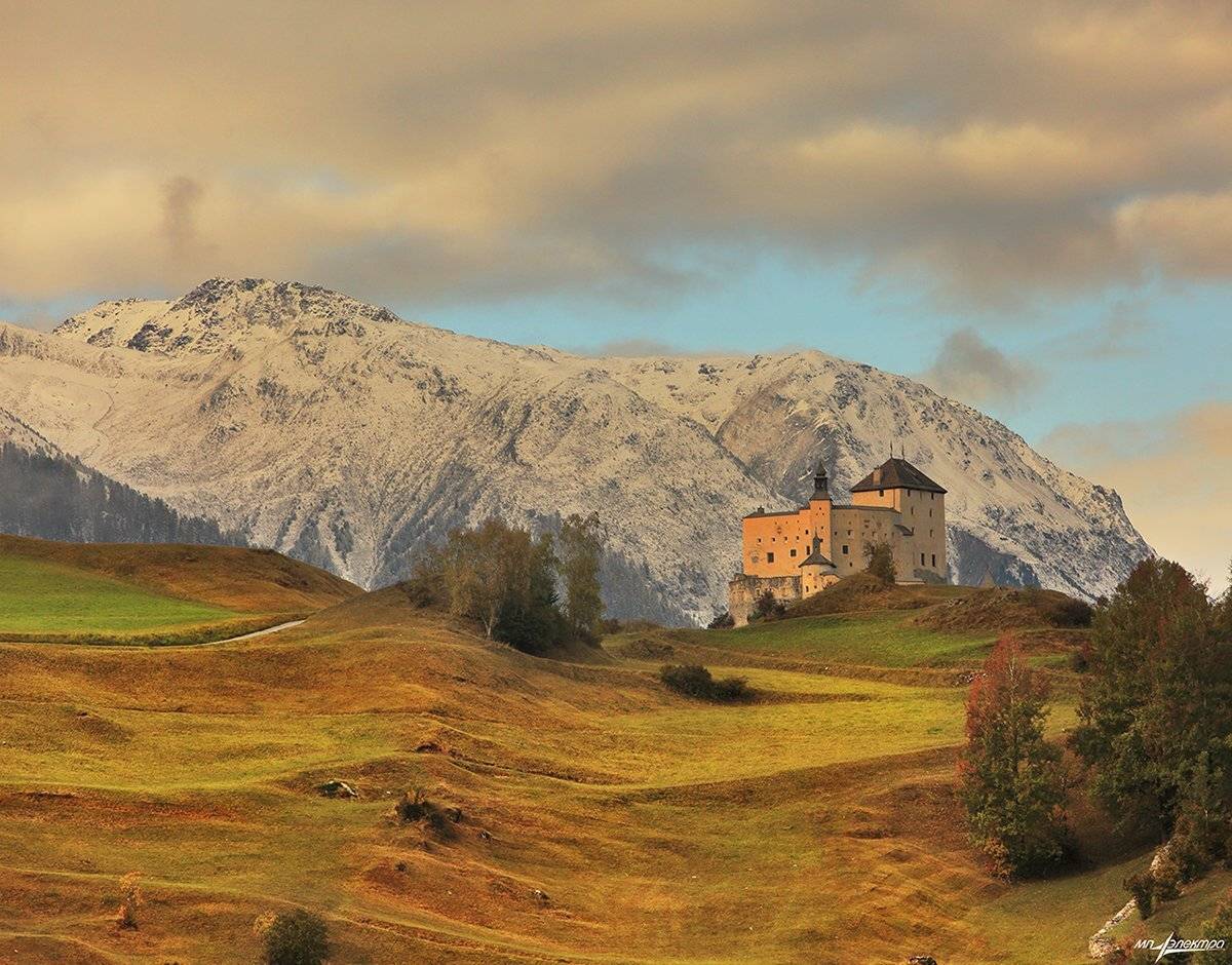 swiss, Матвеев Николай