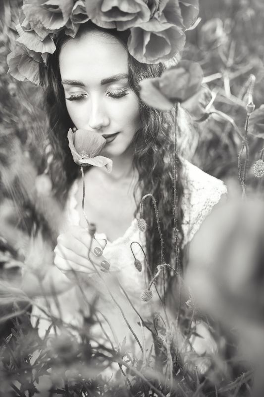 Маки ЧБ фото превью