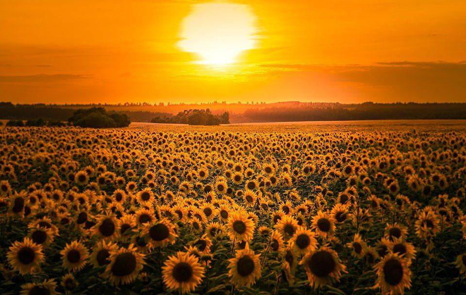 , Игорь Кляхин