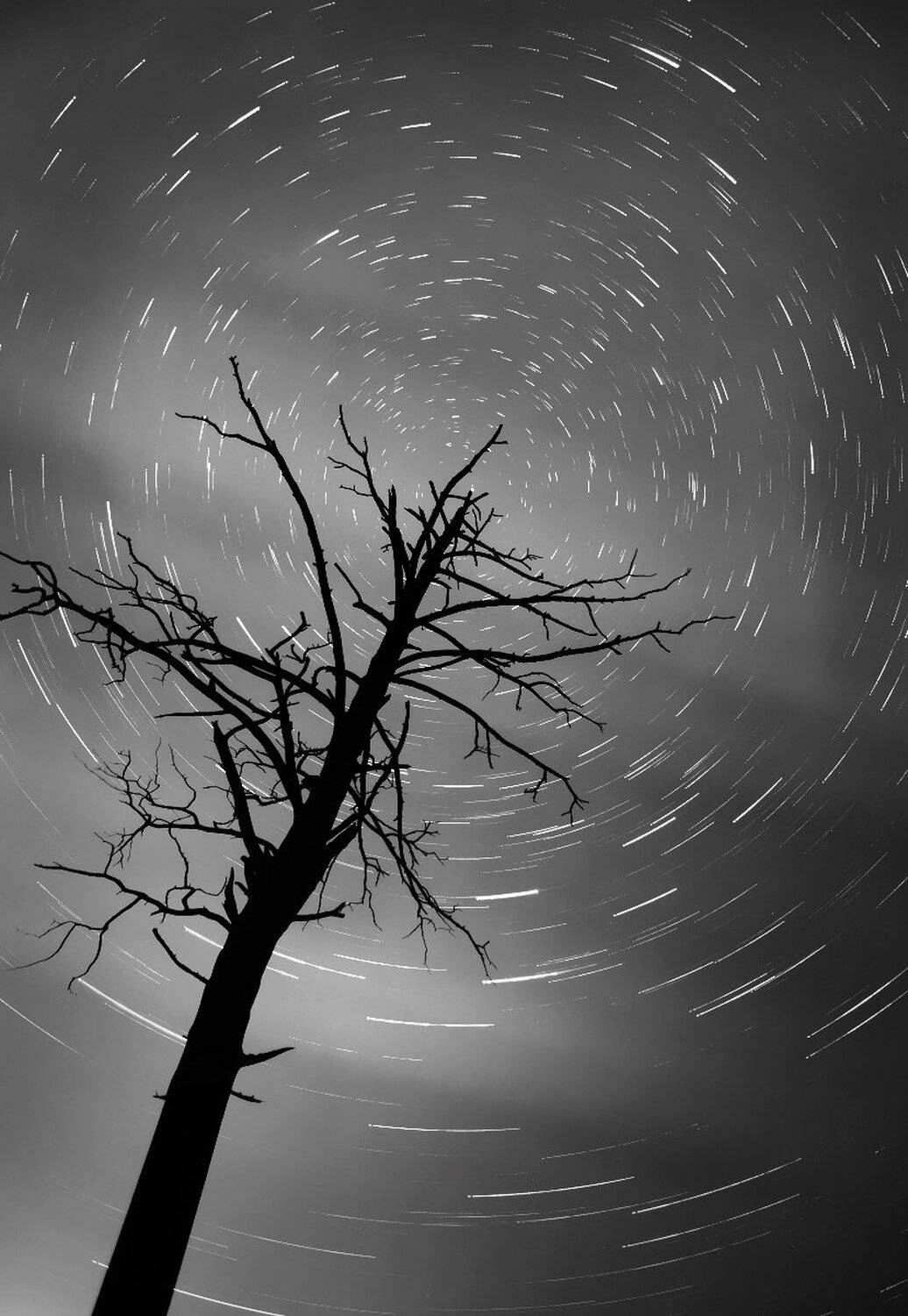 , Сергей Макурин