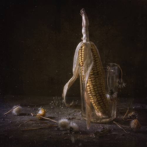 Тётушка кукуруза