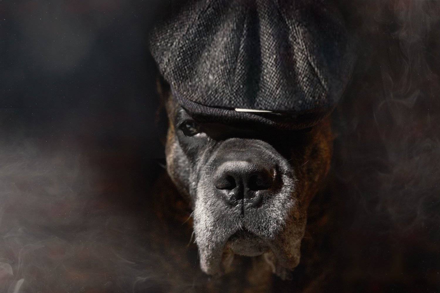 , Оксана Сироштан