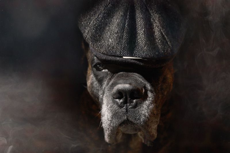 Острые козырьки фото превью