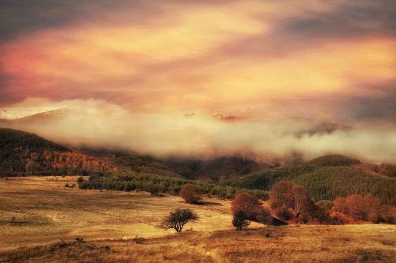 Colors фото превью