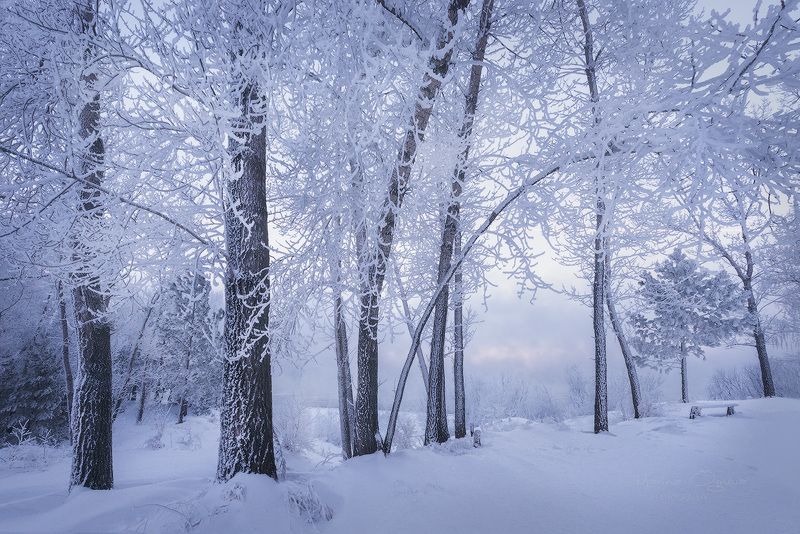 зима, сибирь, мороз, красноярский край Камерная зима фото превью