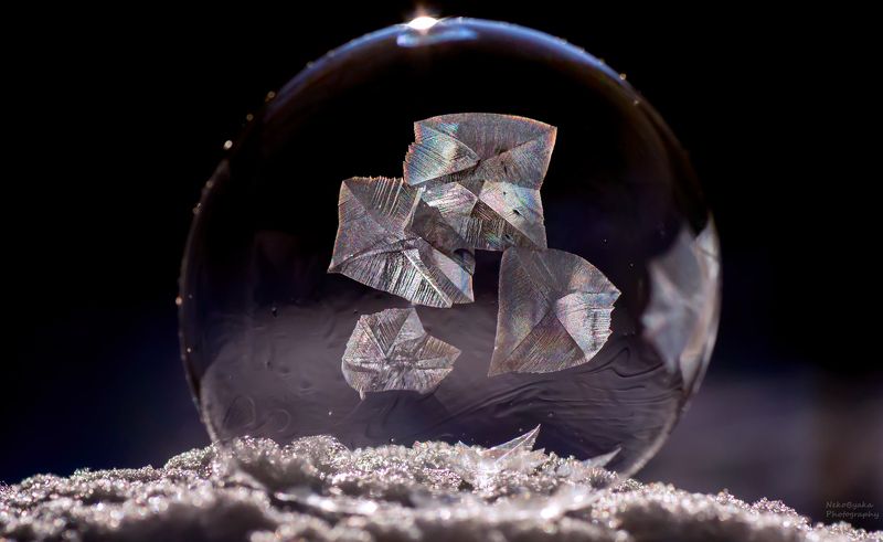 макро, природа, мыльные пузыри, лед, зима, снег, macro, nature, soap bubbles, ice, winter, snow, frozzenbubbles *** фото превью