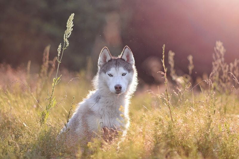 Доброе утро фото превью