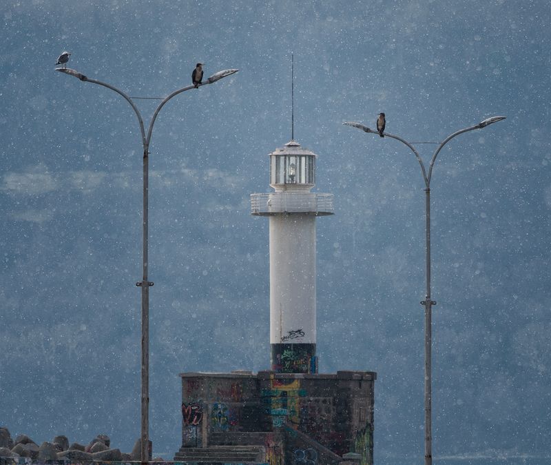 фото превью