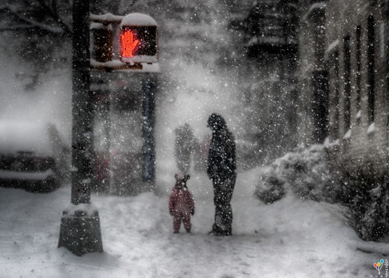 Snowing фото превью
