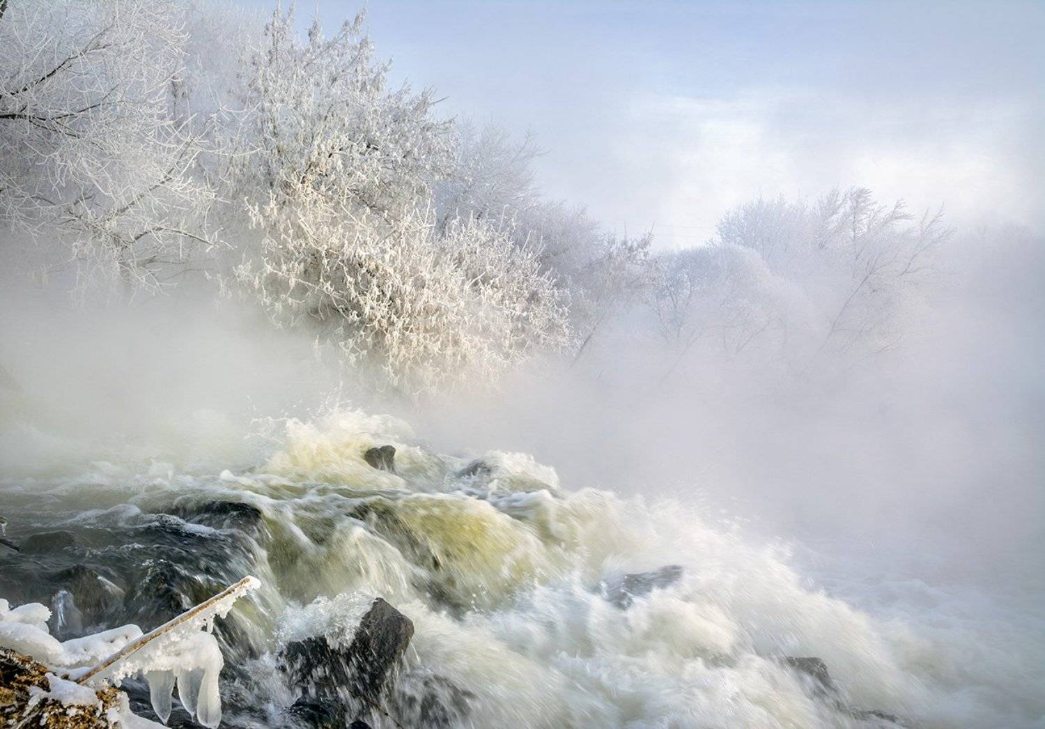, Анатолий Зверев